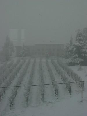 072x_WinterNachbar.JPG