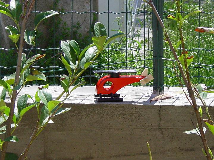 DSC02543.JPG