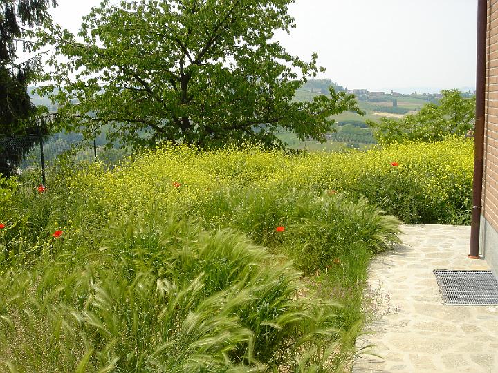 dscx0141.JPG