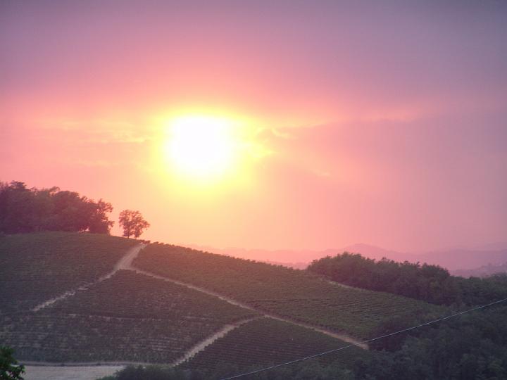 dscx2320.JPG