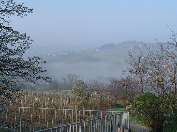 dscx3439.JPG